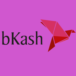 BKASH PAYMENT ON WINBD